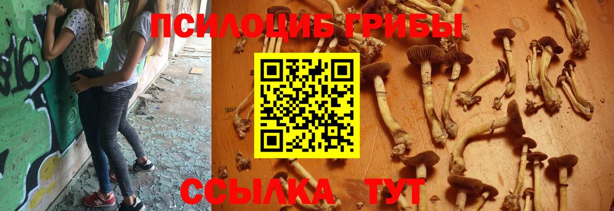 Дальнереченск  Галлюциногенные грибы Magic Shrooms  Вход с VPN 